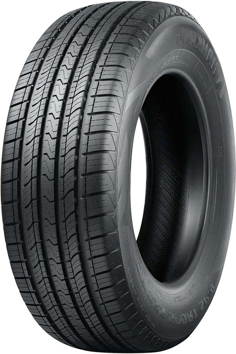 225/55R19 NANKANG SP-9